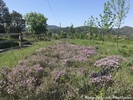 Vue sur le terrain au printemps