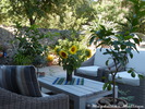 Terrasse mit Sonnenblumen