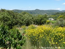 En vue de notre jardin