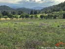 Printemps dans les Corbières